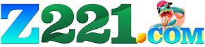 Z221.COM